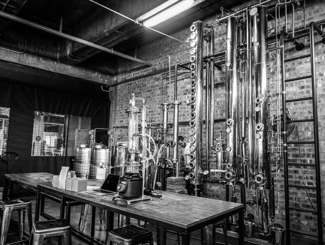 The Still - The Matriarch of Pienaar & Son