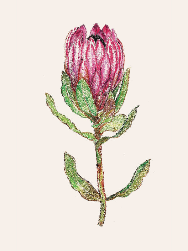 FLOWERS-26.jpg__PID:96bcc247-1017-4c99-b74f-3a2905430cbd
