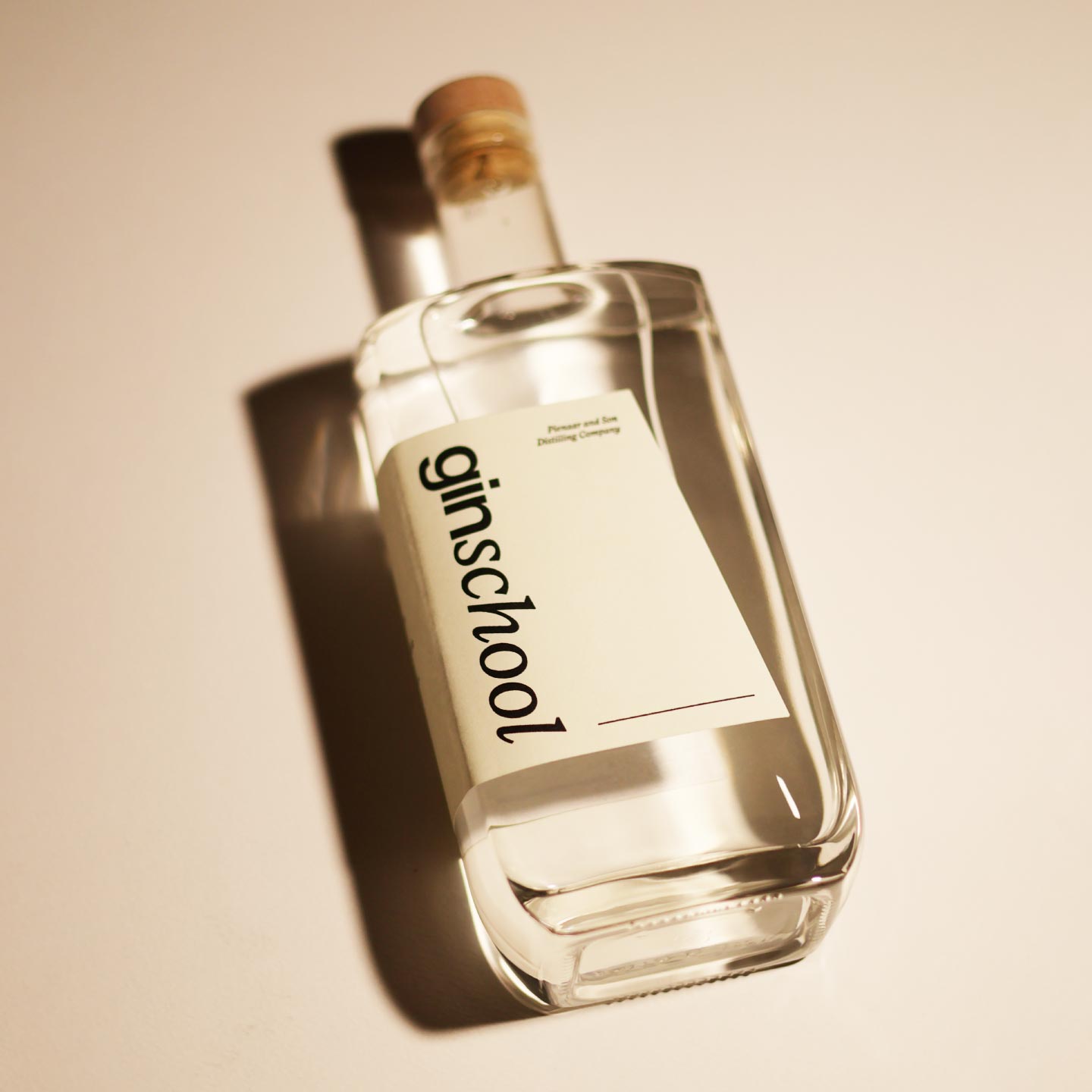 GIN SCHOOL TICKET